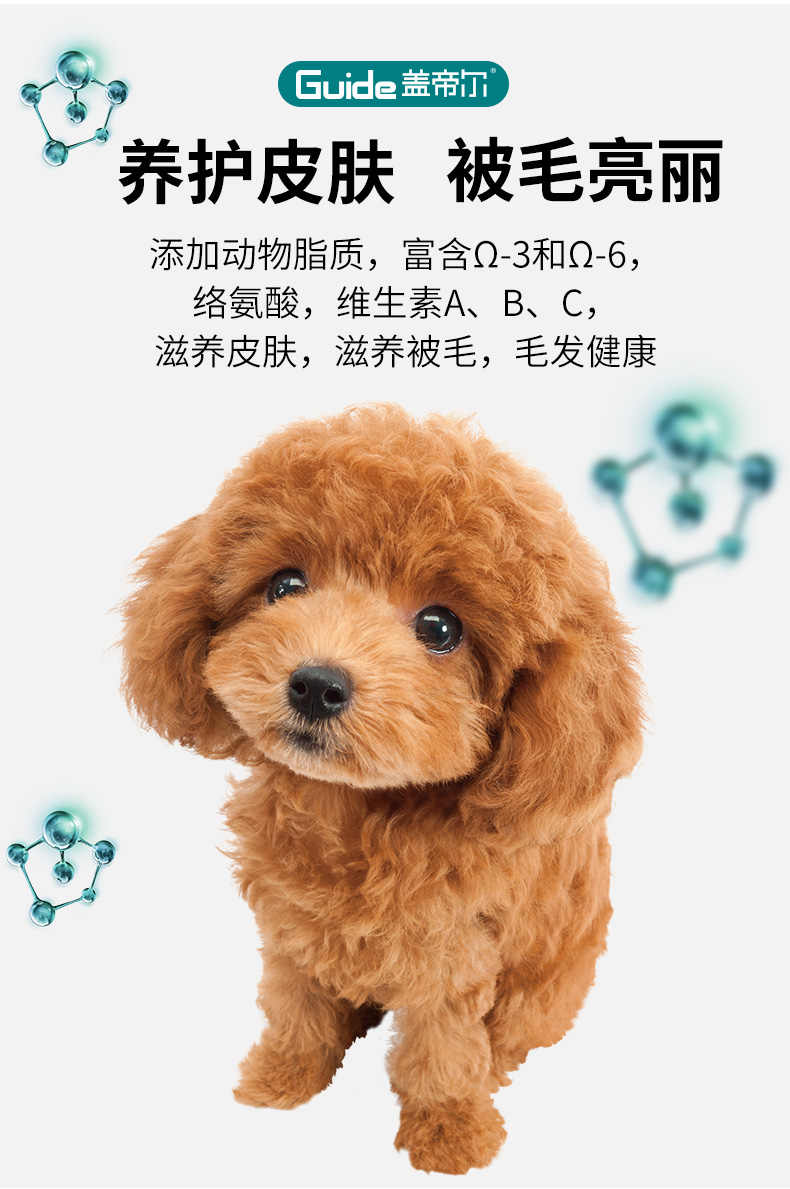 蓋帝爾15kg幼犬_07