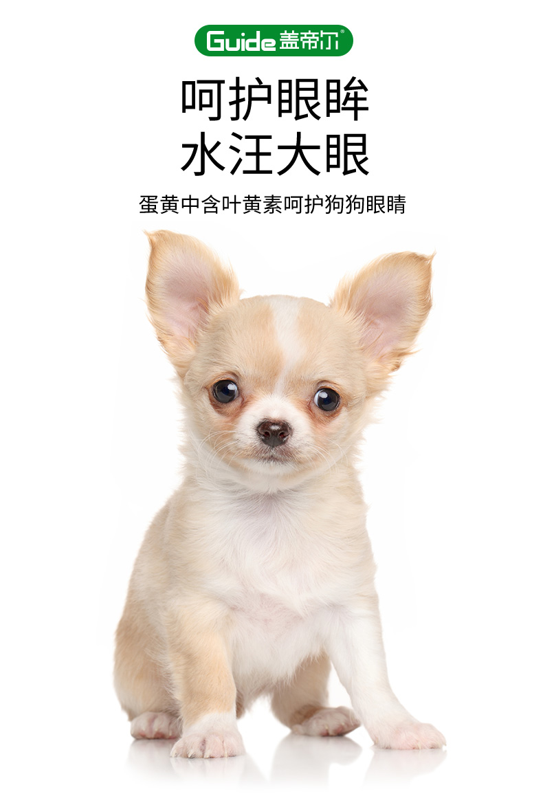 蓋帝爾幼犬20kg_07