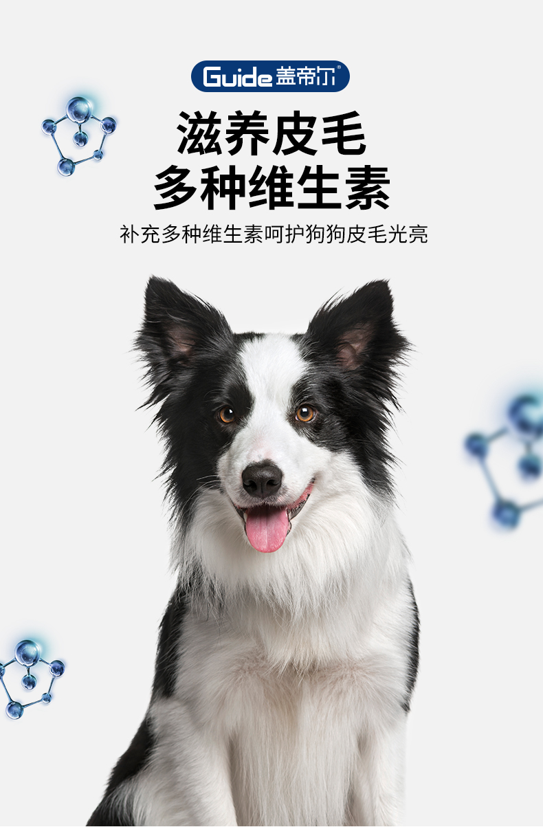 蓋帝爾20kg成犬_04