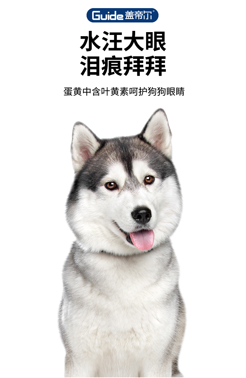 蓋帝爾20kg成犬_05