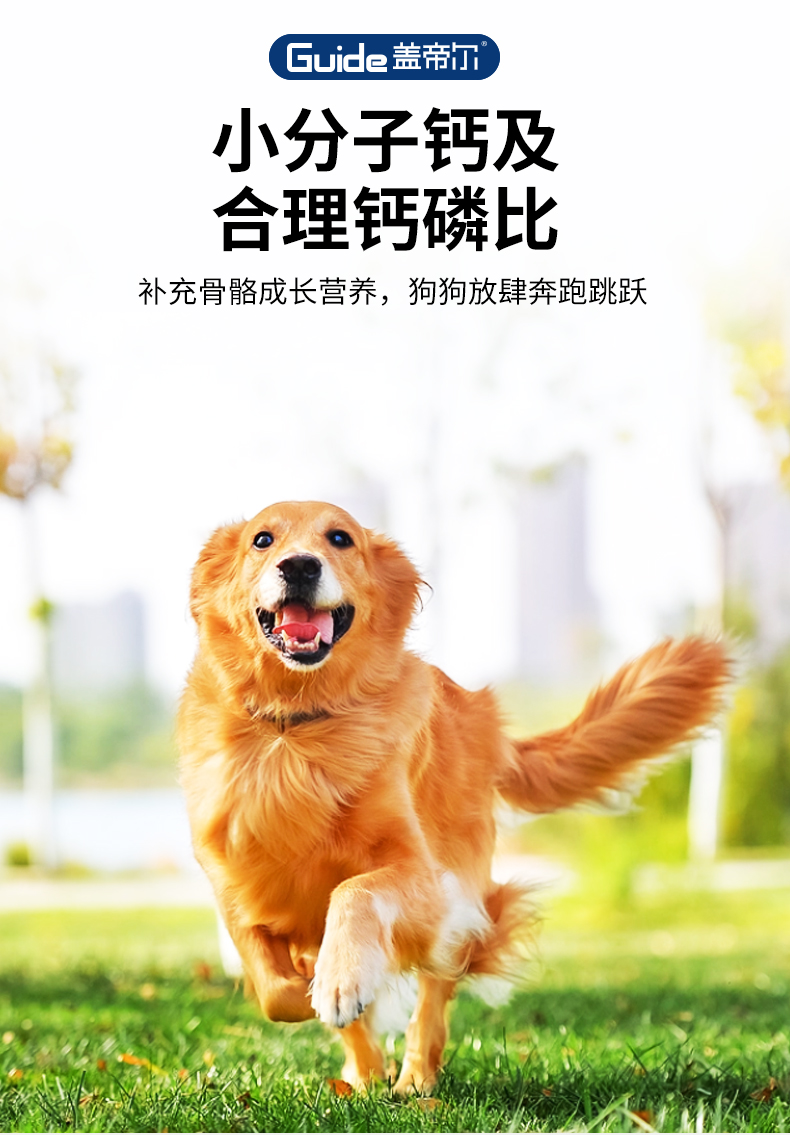 蓋帝爾20kg成犬_06