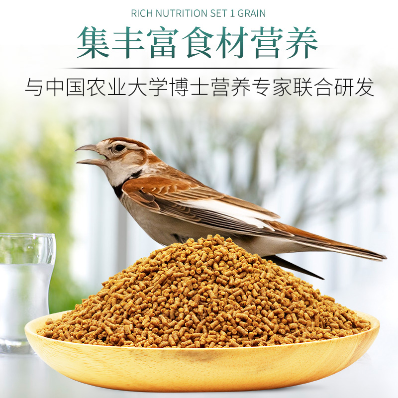 百靈鳥食