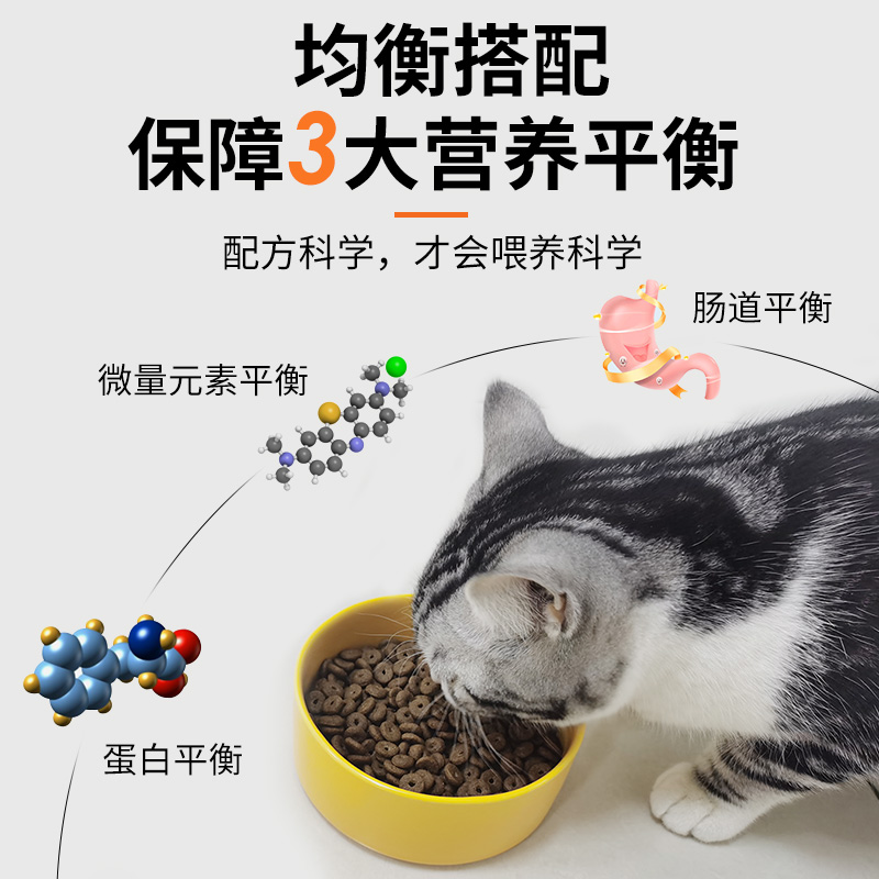 安肯經(jīng)典系列全價通用貓糧10kg