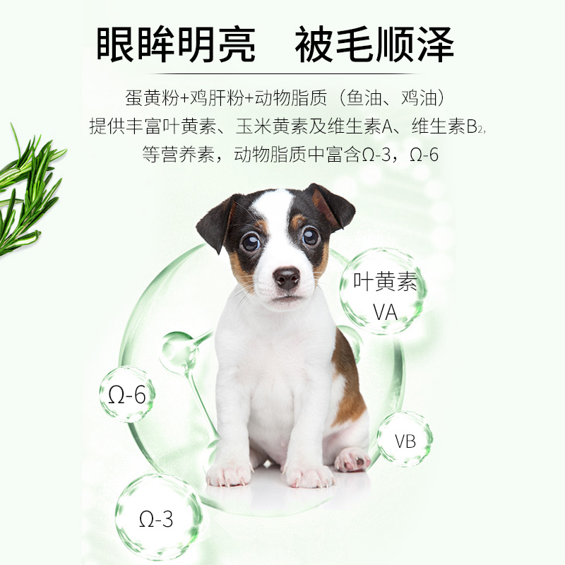 安肯經典系列全價幼犬糧10kg