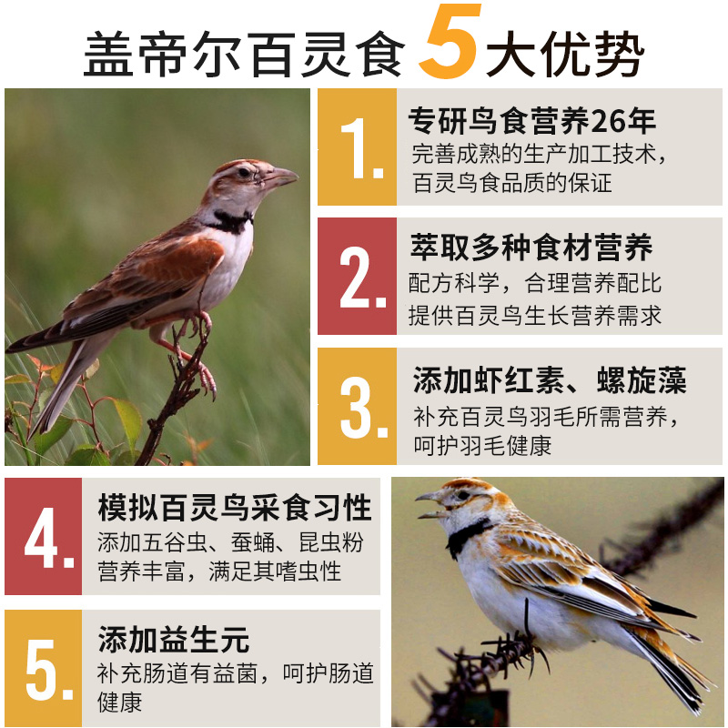 開(kāi)元蓋帝爾百靈專用鳥(niǎo)糧鳥(niǎo)飼料提性愛(ài)唱文鳥(niǎo)食鳥(niǎo)料益生菌營(yíng)養(yǎng)750g