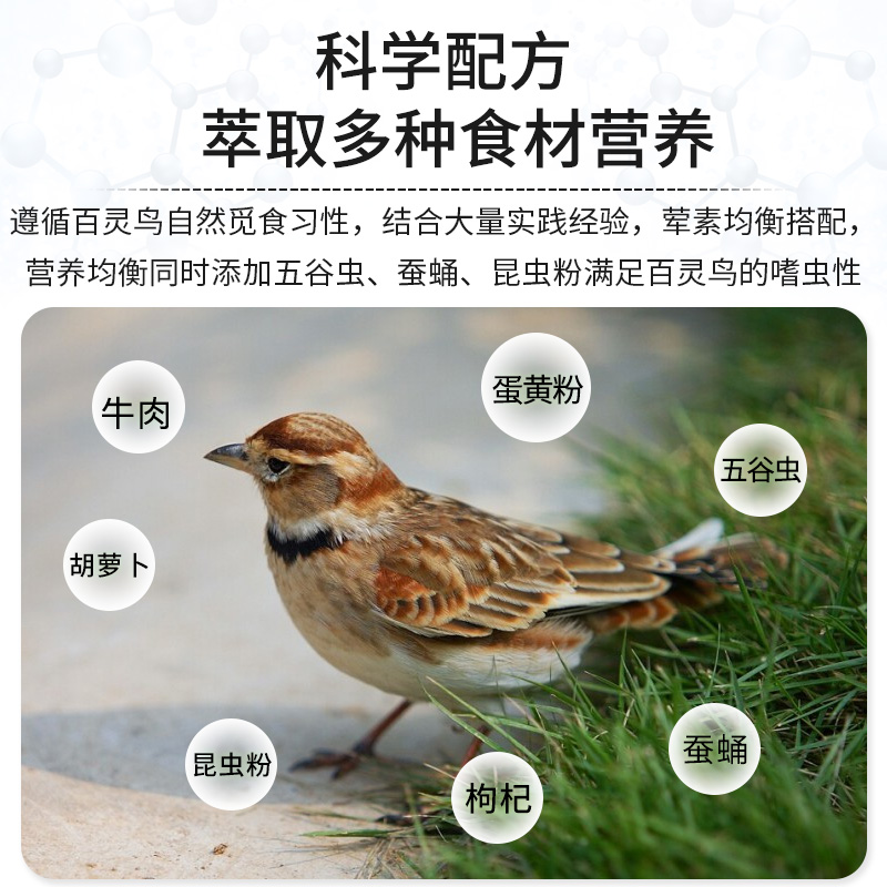 開(kāi)元蓋帝爾百靈專用鳥(niǎo)糧鳥(niǎo)飼料提性愛(ài)唱文鳥(niǎo)食鳥(niǎo)料益生菌營(yíng)養(yǎng)750g