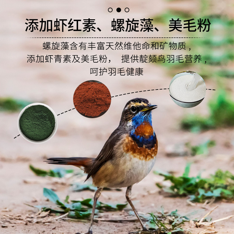 開(kāi)元蓋帝爾靛頦專用鳥(niǎo)食鳥(niǎo)飼料善鳴愛(ài)唱紅靛頦益生菌營(yíng)養(yǎng)鳥(niǎo)糧750g