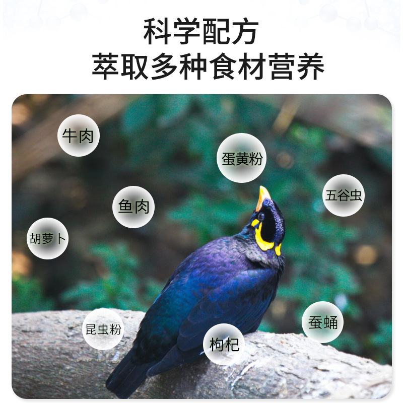 開(kāi)元蓋帝爾鷯哥專(zhuān)用鳥(niǎo)飼料八哥鳥(niǎo)食鳥(niǎo)糧助毛靚麗羽毛營(yíng)養(yǎng)鳥(niǎo)食飼料