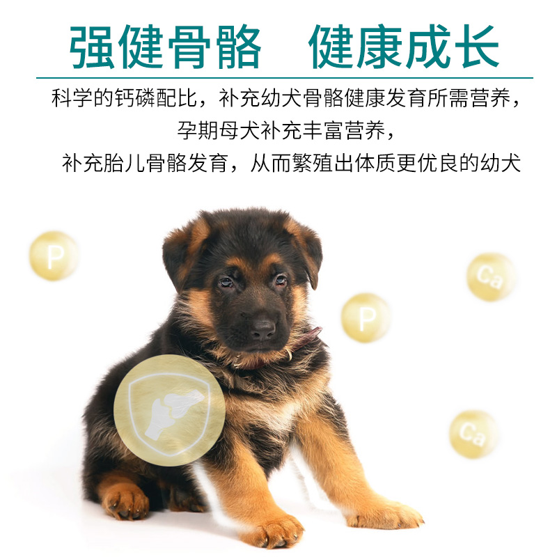 蓋帝爾中大型幼犬通用糧15kg